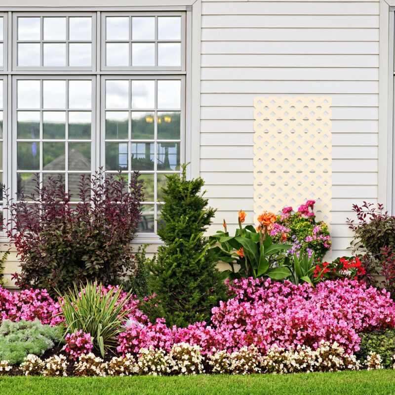 Jack Matrix Lattice Screen Woven 1800x1200mm Flowerbed of colorful flowers against wall with windows