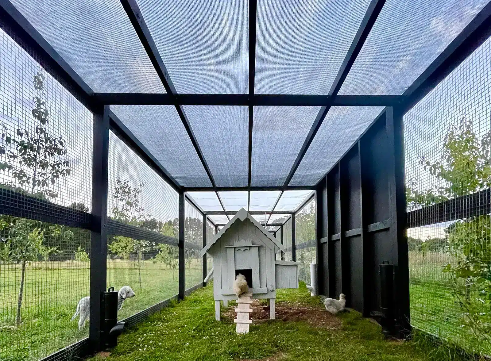 jack fencing chicken coup animal fence