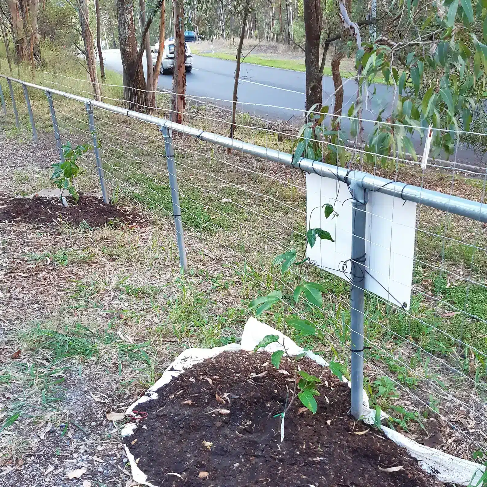jack fencing property line border fence barrier