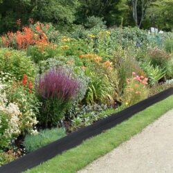 Recycled garden edging in garden