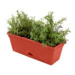 Jack Garden up mix n match Herb Planter18683
