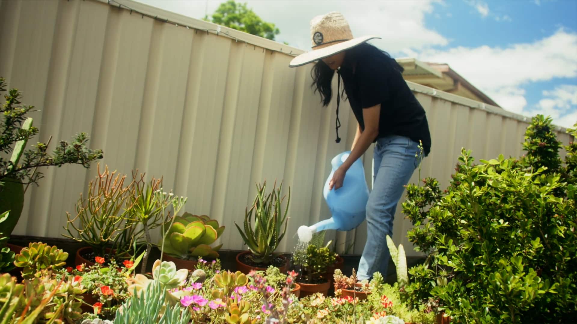 The Gardener Series - Meet Shella watering garden beds