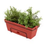 Jack Garden Up Herb Planter 18684