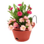 Jack Garden up Terrace Rail Planter 18697