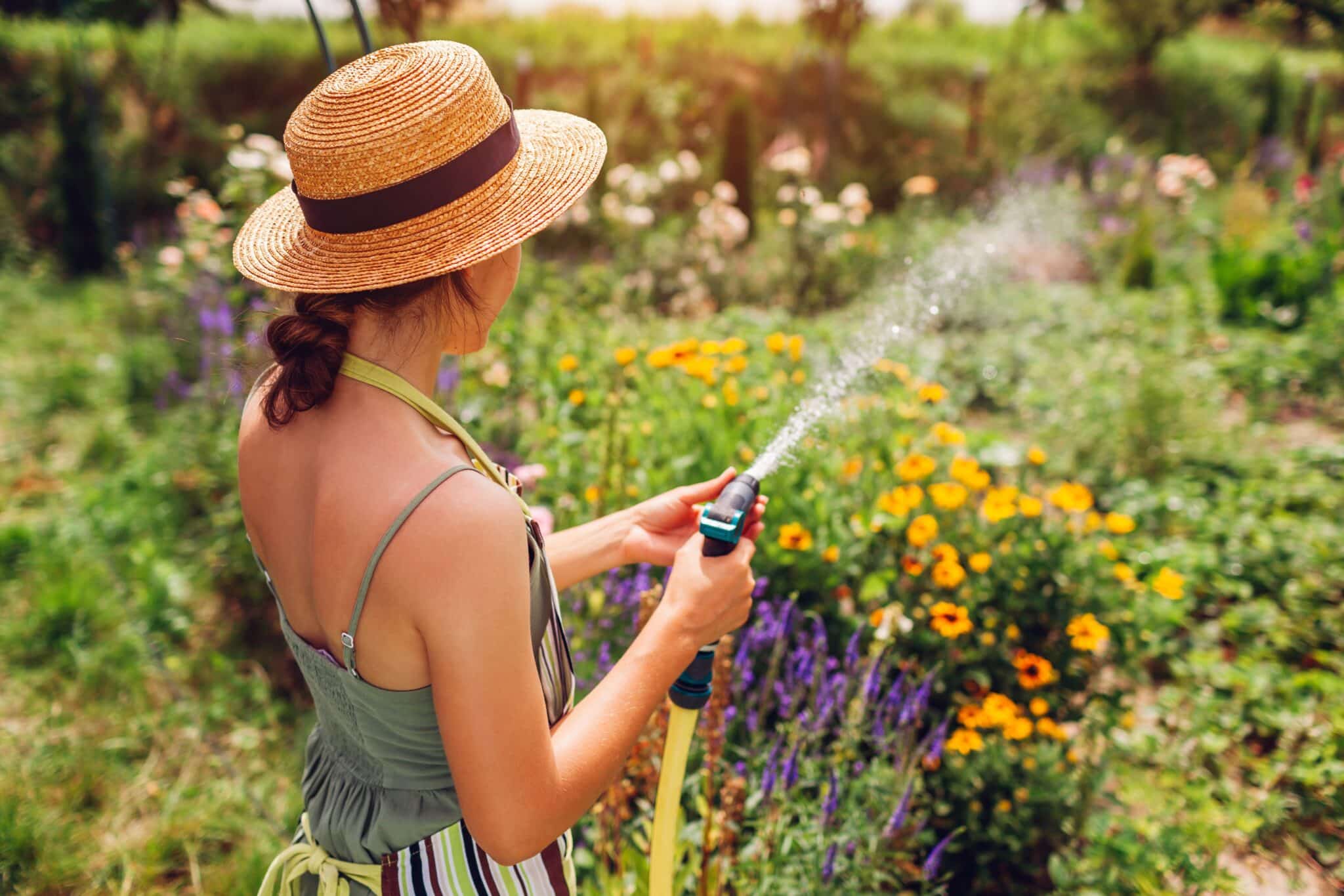 Jack summer garden hose