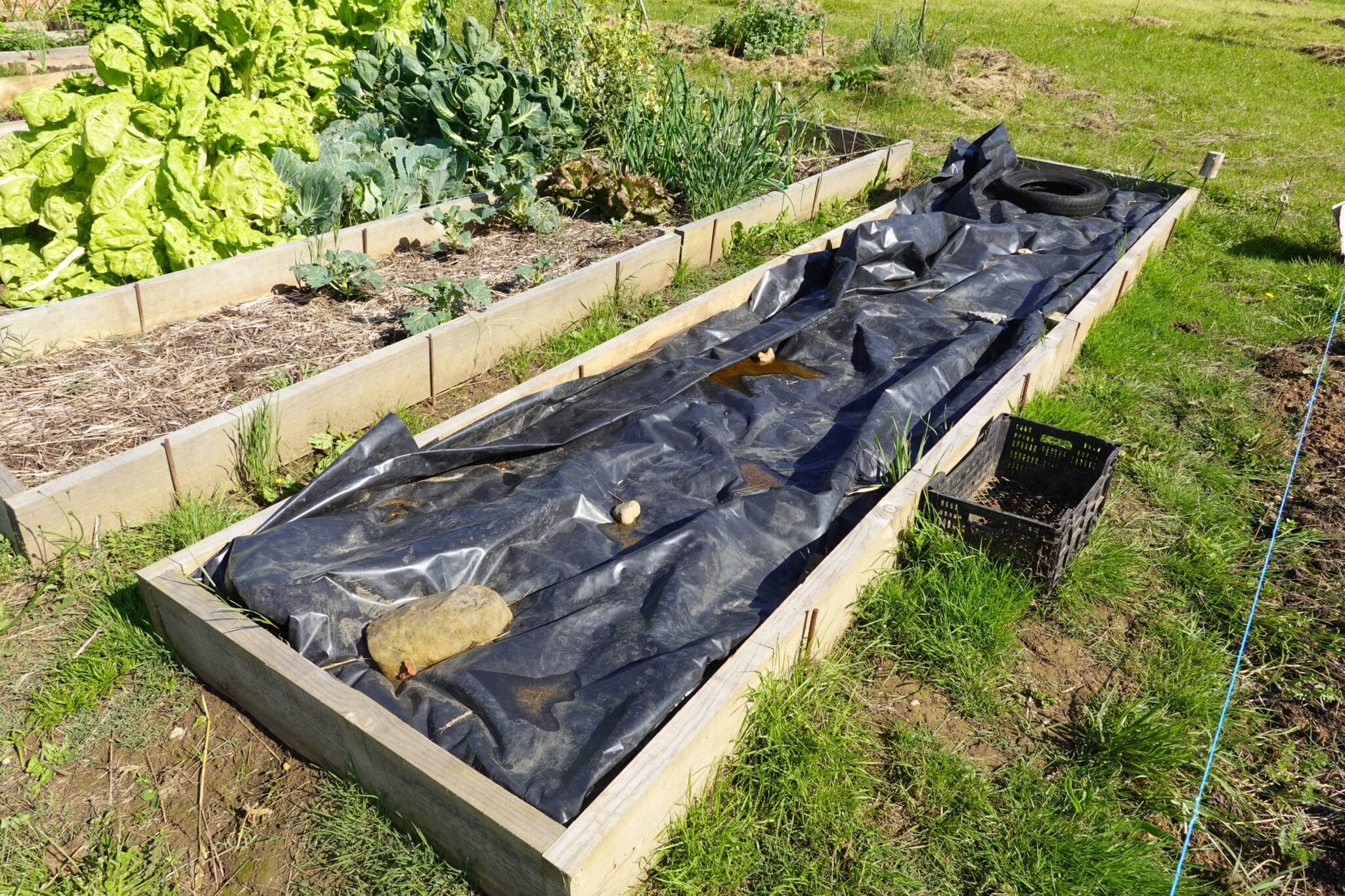 Clear debris and cover garden beds