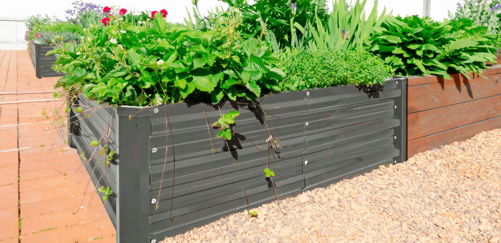 Metal raised garden bed filled with lush greenery and vibrant plants