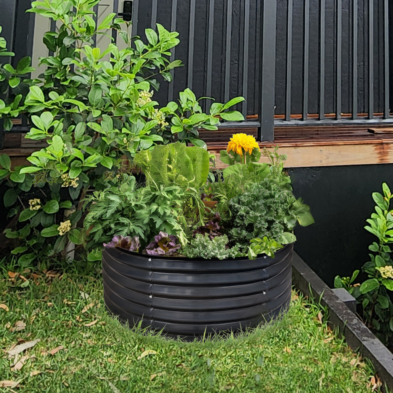 Raised Garden bed placed in backyard
