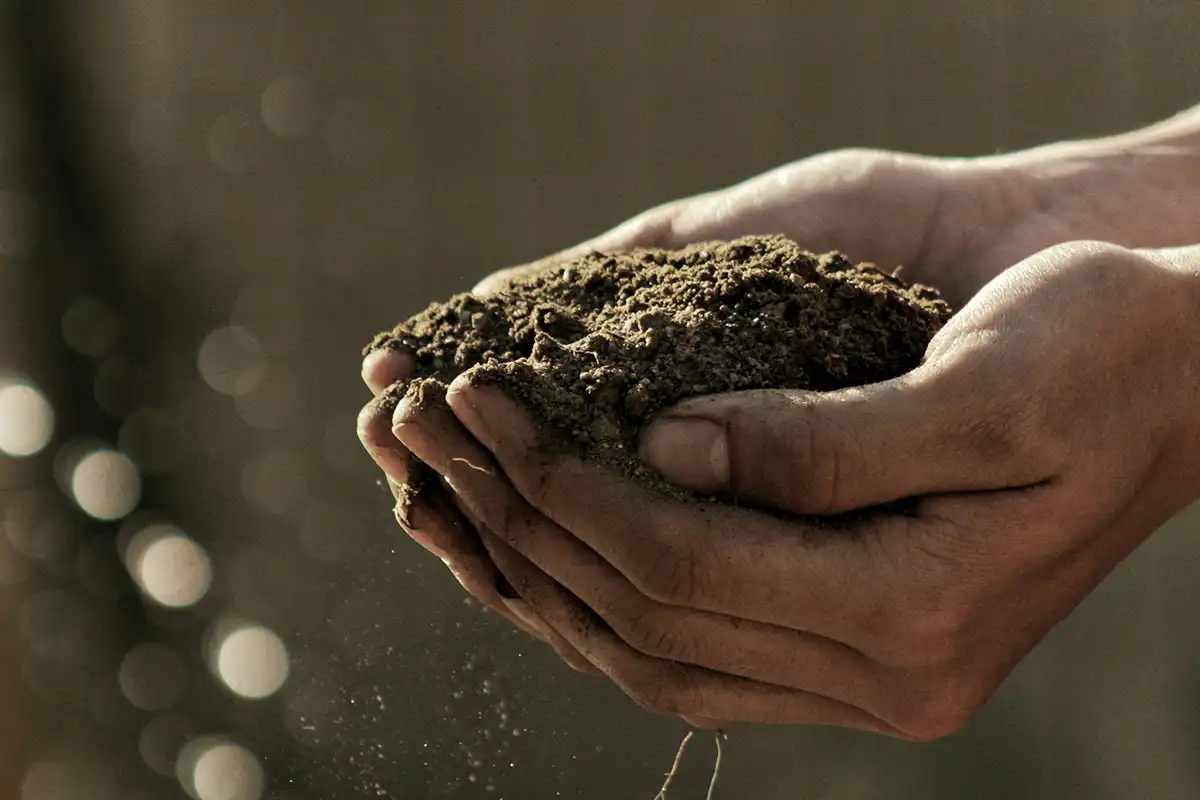 Close-up view of brown composting material for healthy garden soil.