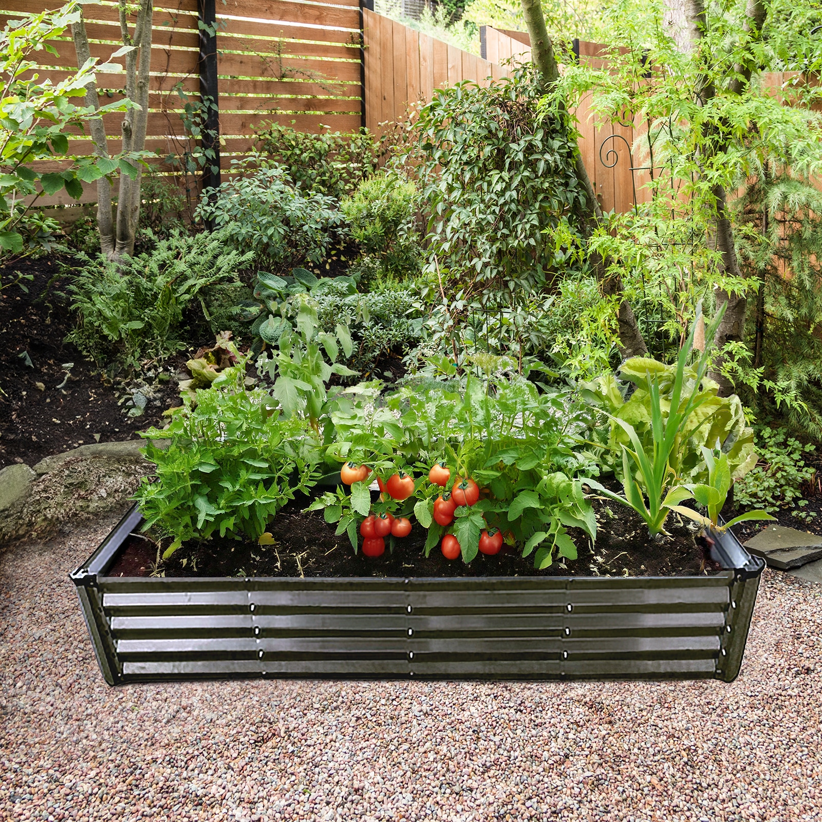 Raised Garden Bed Squared end tomatoes